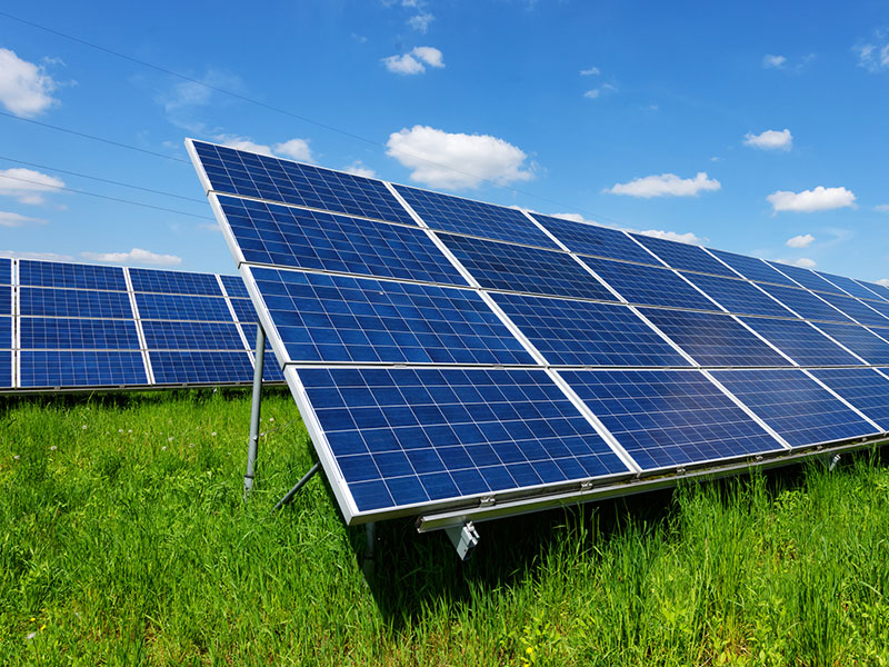 Solar farm